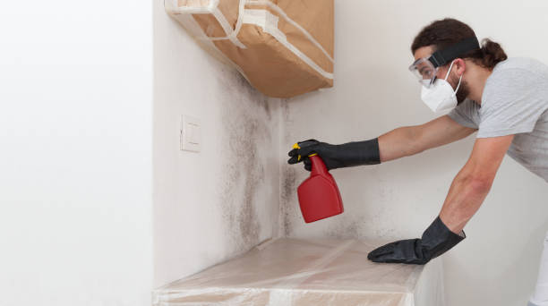 Professional Mold Cleanup technician working in Wantagh, NY